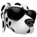 cooldog cooldog