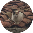 :GatoMod: