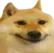 dogsmile