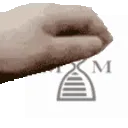 petmmi