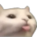 blep