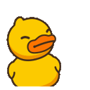 DuckyNo