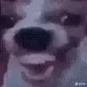 emoji_66