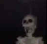 skullbruh