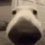 sniffaaa