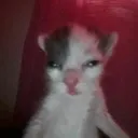 oh
