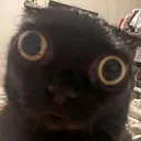 THE_SHEER_HORRORS_OF_THE_UNIVERS