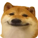 cheemsderp