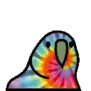 tiedyeParrot