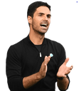 arteta Discord emoji