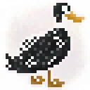 DuckX