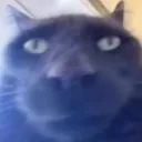 c_ohshit