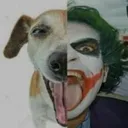 QLoucura