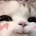 AGC_Catuwu Discord emoji