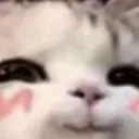 AGC_Catuwu