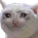 mericCat