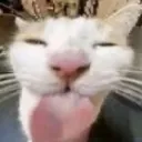 BLEHHH