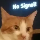 no_signal