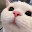 looook
