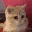 catyes