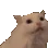 meow