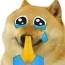 dogeBegging