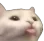 catblep catblep