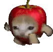 applecat