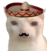 bruhcatmexican Discord Emoji