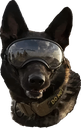 Dogo Discord emoji
