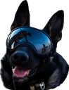 DogoSmile Discord emoji