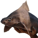 :fat_fuck: