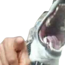 :dogfunny: