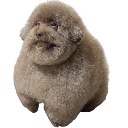 :fatfuckindawg: