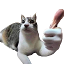 :cathumb: