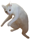 catstance Discord Emoji from Adultcord 🧿