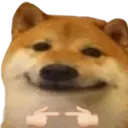 uwushy