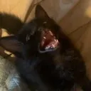 maeAAA