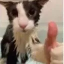 Soggy_thumbs_up Soggy_thumbs_up