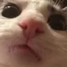 CE_iamlookingatyou CE_iamlookingatyou
