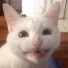 CE_Smile4 CE_Smile4