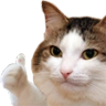 CE_ThumbUpKitty2 CE_ThumbUpKitty2