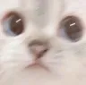 CE_Lookingatu3 CE_Lookingatu3