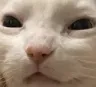 CE_Squint2 CE_Squint2