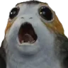 CE_SCREAMMMMMM5 CE_SCREAMMMMMM5
