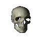 skullspin