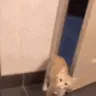 CE_Bye