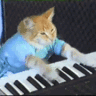 CE_KeyboardCat