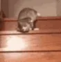 CE_Slidin