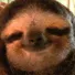CE_BlankStare CE_BlankStare